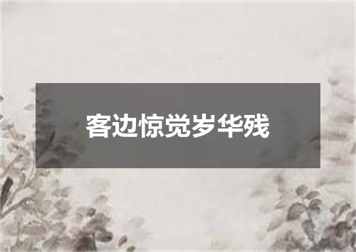 客边惊觉岁华残