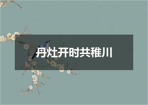 丹灶开时共稚川