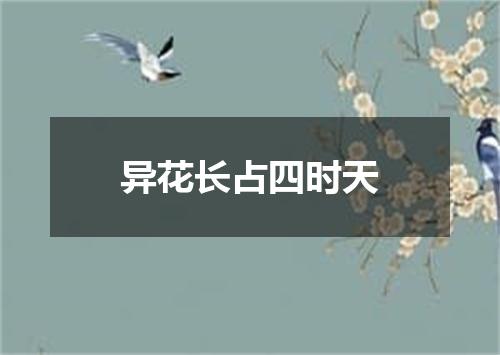 异花长占四时天
