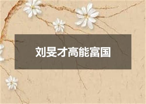 刘旻才高能富国