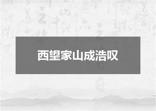 西望家山成浩叹