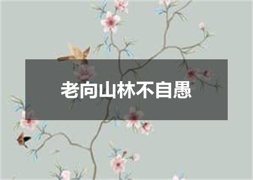 老向山林不自愚