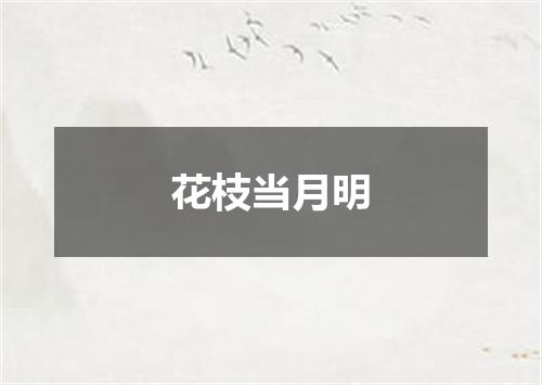 花枝当月明