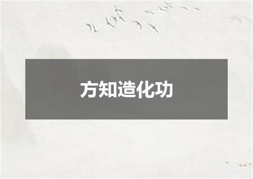 方知造化功