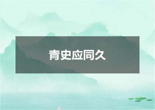 青史应同久