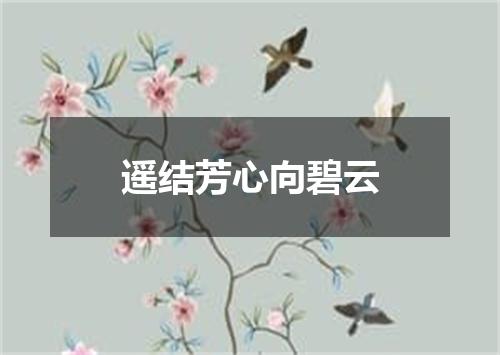 遥结芳心向碧云