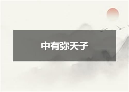 中有弥天子