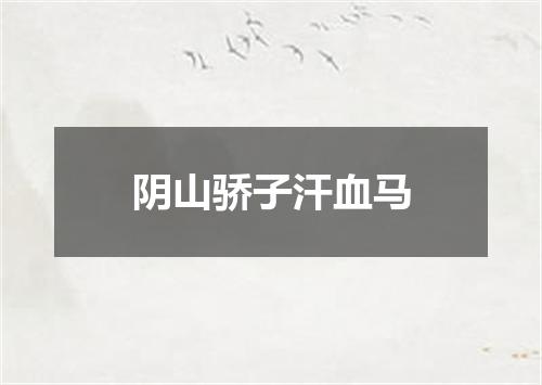 阴山骄子汗血马