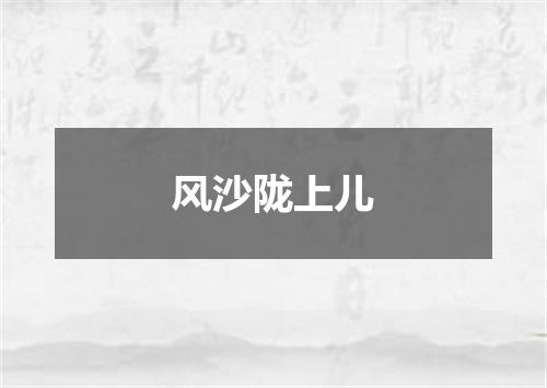 风沙陇上儿