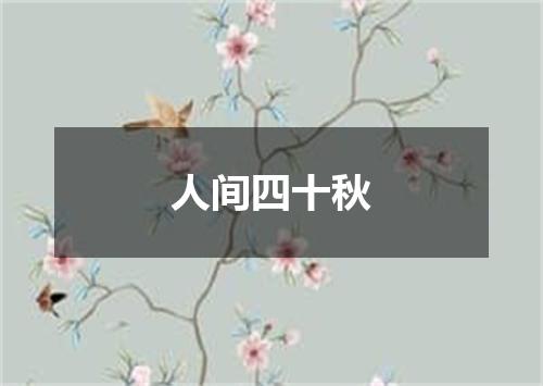 人间四十秋