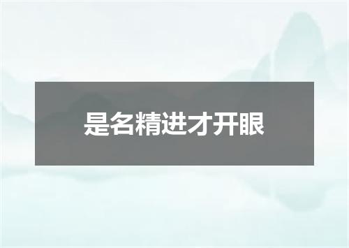 是名精进才开眼