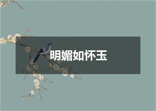 明媚如怀玉