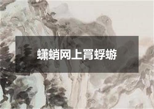 蟏蛸网上罥蜉蝣