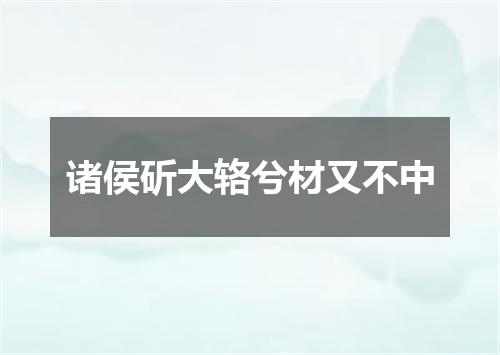 诸侯斫大辂兮材又不中