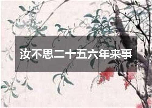 汝不思二十五六年来事