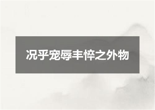 况乎宠辱丰悴之外物
