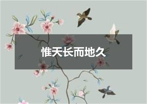 惟天长而地久