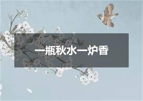 一瓶秋水一炉香