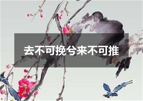 去不可挽兮来不可推