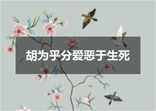 胡为乎分爱恶于生死