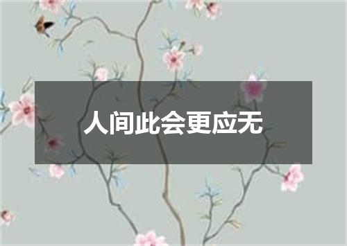 人间此会更应无