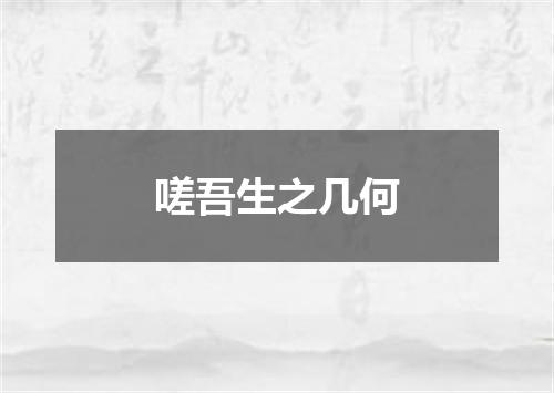 嗟吾生之几何
