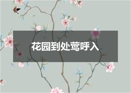 花园到处莺呼入