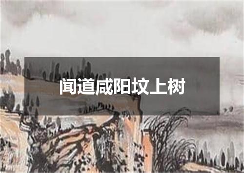闻道咸阳坟上树