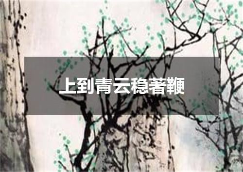 上到青云稳著鞭