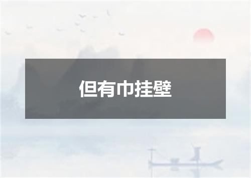 但有巾挂壁