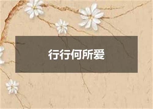 行行何所爱