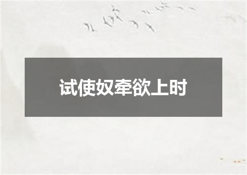试使奴牵欲上时