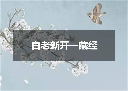 白老新开一藏经