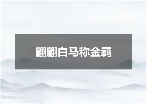 翩翩白马称金羁