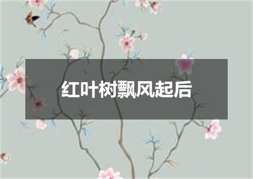 红叶树飘风起后