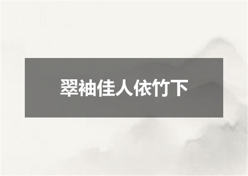 翠袖佳人依竹下