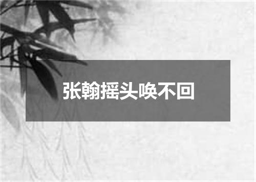 张翰摇头唤不回