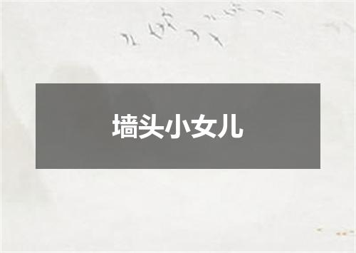 墙头小女儿