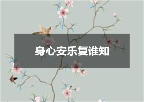 身心安乐复谁知