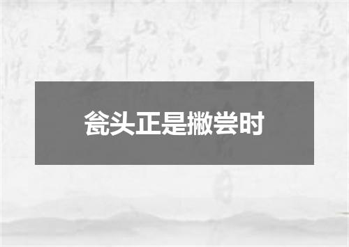 瓮头正是撇尝时