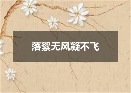 落絮无风凝不飞