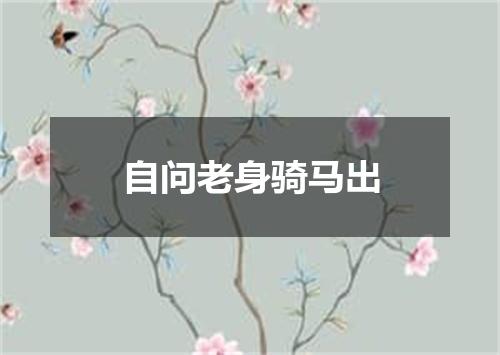自问老身骑马出