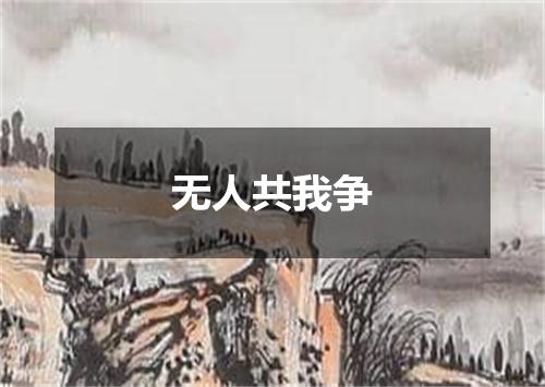 无人共我争