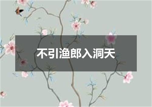 不引渔郎入洞天