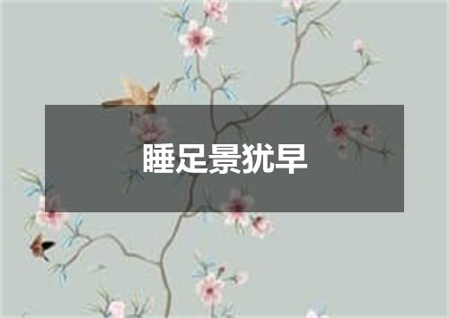 睡足景犹早