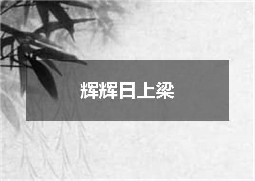 辉辉日上梁