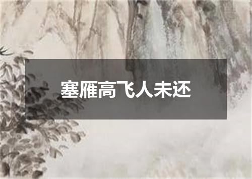塞雁高飞人未还