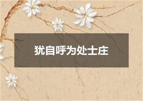 犹自呼为处士庄