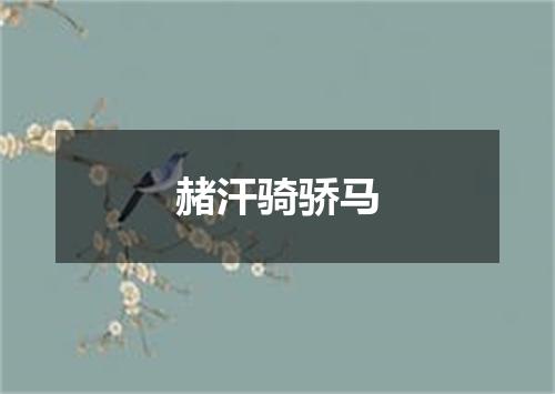 赭汗骑骄马