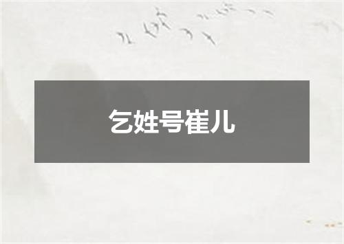 乞姓号崔儿